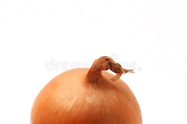 Omgomg onion